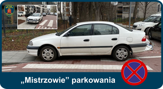 Mistrzowie parkowania. Tak kierowcy parkują w Warszawie