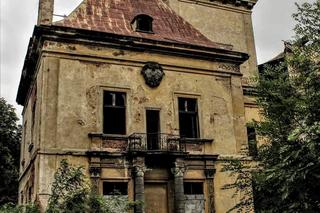 Zapomniany pałac w Mańczycach. Rezydencja z niezwykłym klimatem wciąż stoi pusta 