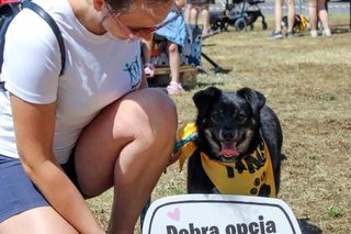 Tak bywało na poprzednich wydarzeniach Fundacji Dobre Ludki w Grudziądzu