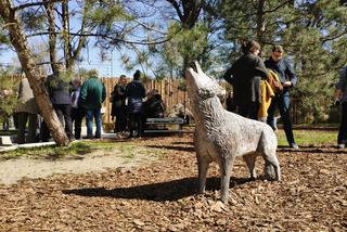 Wilcza Ostoja we wrocławskim zoo