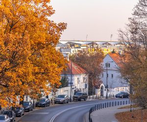 Kolonia profesorska w Warszawie