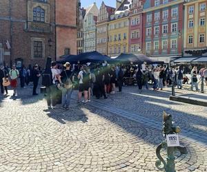 Gitarowy Rekord Świata 2024 we Wrocławiu rozpoczęty! Tak od samego rana wygląda teraz Rynek 