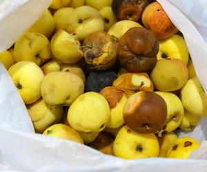 Nigdy nie jedz takich owoców. Mogą być rakotwórcze