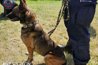 Trafika odnalazła 16-latka