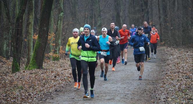 City Trail w Bydgoszczy. Miłośnicy biegania opanowali Myślęcinek [ZDJĘCIA]