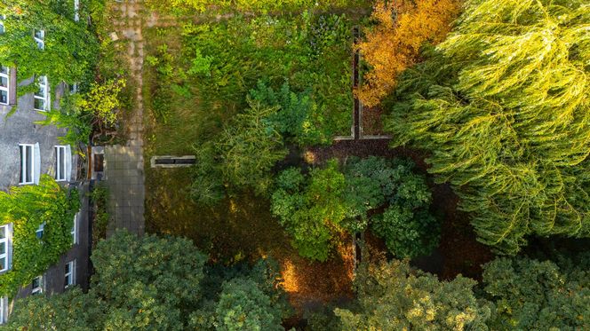 Kamienice Jerzego Wierzbickiego w Warszawie przy Al. Niepodległości