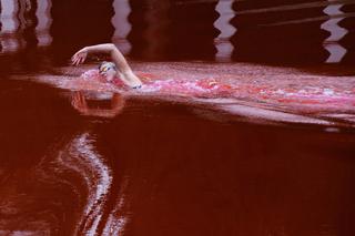 Woda w stawie jak krew, a w nim olimpijska pływaczka. Co się wydarzyło przed rosyjską ambasadą?