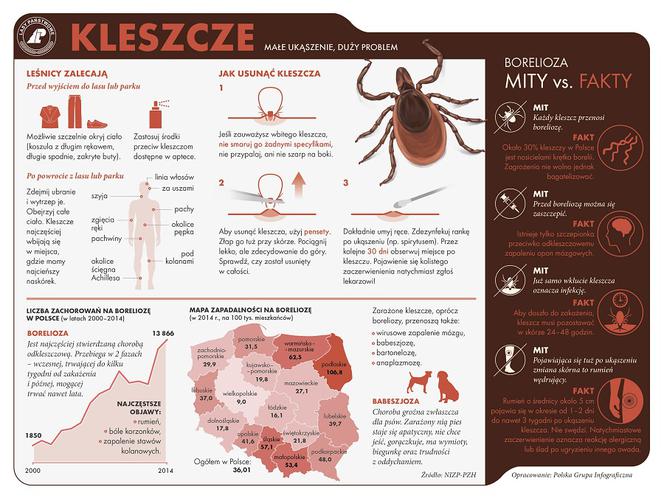 Kleszcze przenoszą boreliozę i kleszczowe zapalnie opon mózgowych