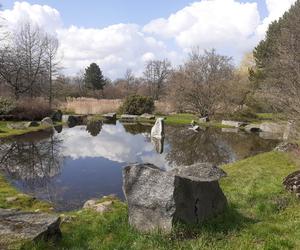 Łódzki Ogród Botaniczny obchodzi 50-lecie. To miejsce rozkwita i czeka na gości