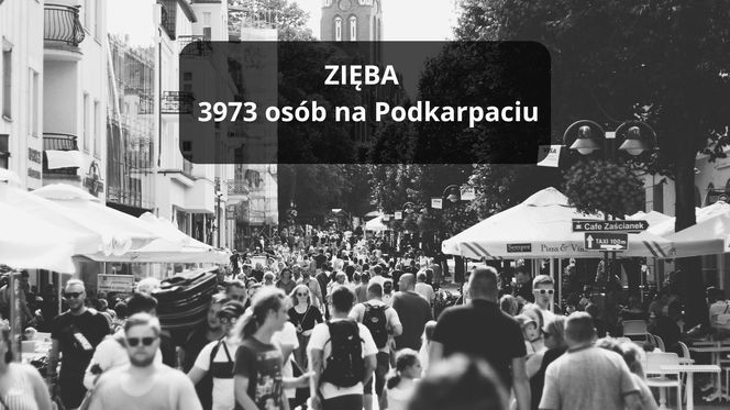 Najpopularniejsze nazwiska na Podkarpaciu. Nosisz jedno z nich?