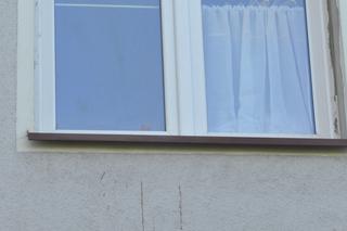 Wyrzuciła noworodka przez okno - dziś zapadł wyrok