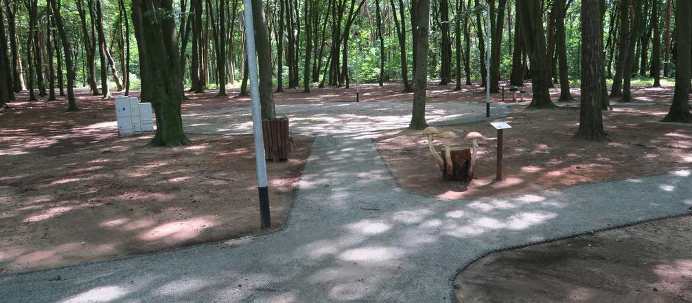 Zmodernizowany park w Wielgowie