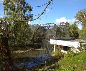 Zoo w Zamościu