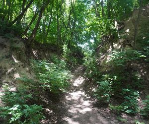 Sandomierz. Wąwóz Św. Królowej Jadwigi