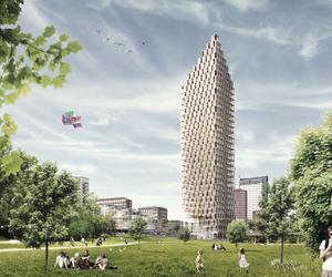 Drewno konstrukcyjne: zalety wykorzystania drewna konstrukcyjnego w architekturze