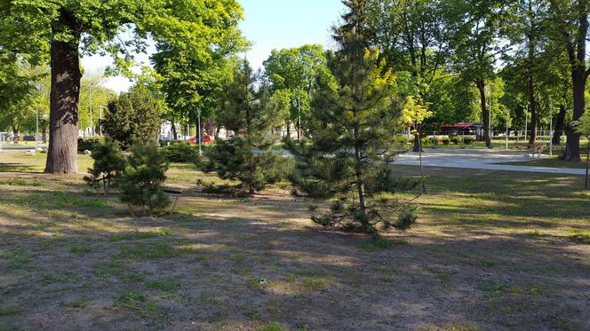 Park Jonstona gotowy, ale nadal zamknięty dla mieszkańców