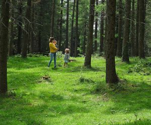 Akcja spacer! Polacy wyruszyli do lasów i parków