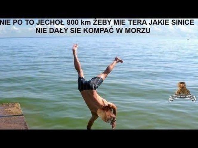 Najlepsze memy o wakacjach nad polskim morzem