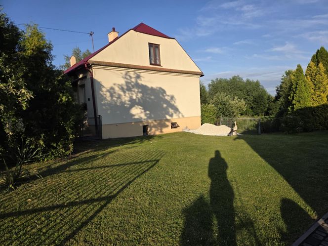 Kajtek bocian podwórkowy