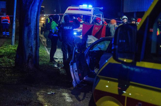 Śmiertelny wypadek w Nowogrodzie Bobrzańskim. Domniemany sprawca znaleziony półżywy w zaroślach [ZDJĘCIA]