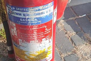 Zatrzymali ciężarówkę do kontroli. Efekt był przerażający