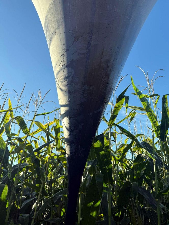 Tajemnicze balony spadły na Warmii i Mazurach. Nowa metoda przestępców