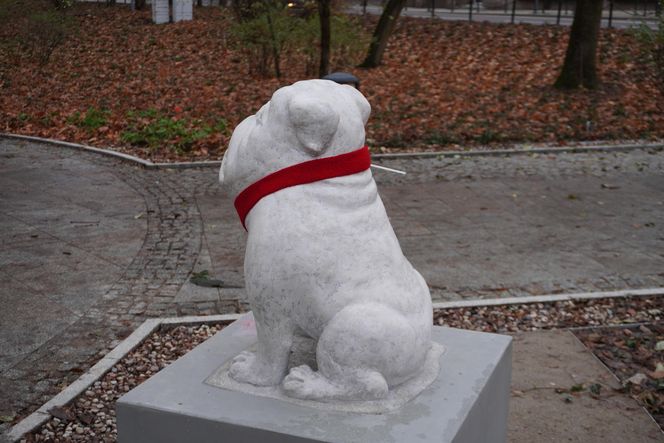 WidziMisie w Białymstoku gotowe na zimę