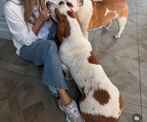 Te psy skradły serca gwiazd! Niektóre wyglądają jak z bajk