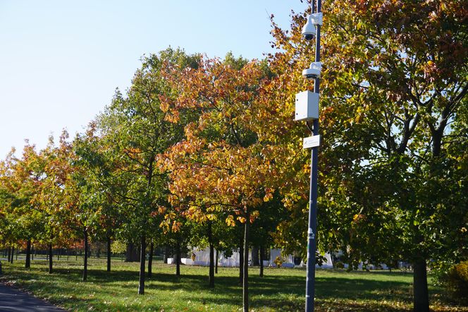 Park im. św. Jana Pawła II w jesiennych barwach