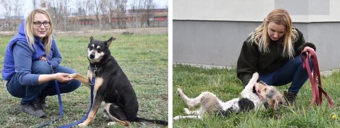 Anna Romanowicz i Aleksandra Lenartowicz-Dyszlewska