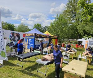 Festiwal Przyjaciół Zwierząt w Olsztynie. Park Centralny opanowały radosne pieski
