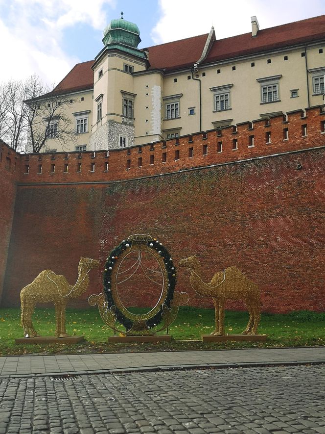 Wawel zimą od ulicy Grodzkiej