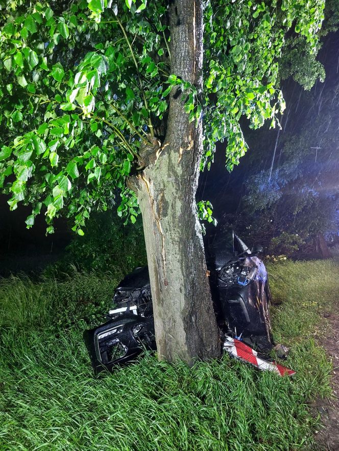 Kierujący BMW wjechał w drzewo