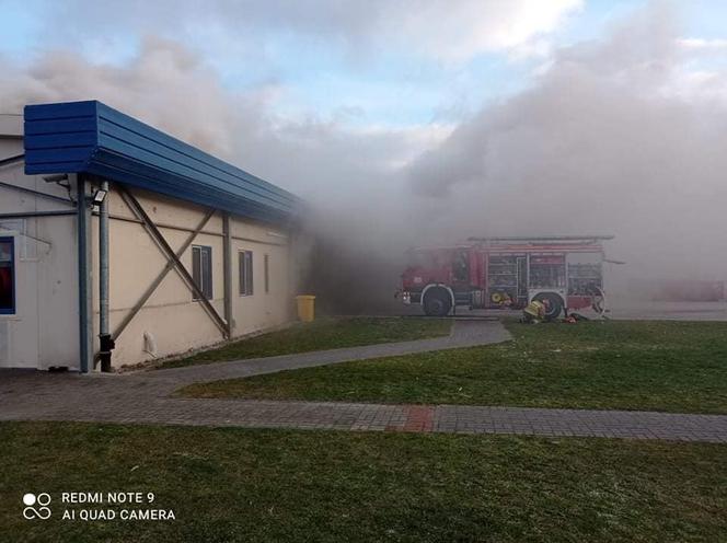 Pożar w zakładach drobiarskich w Iławie. Podsumowanie działań