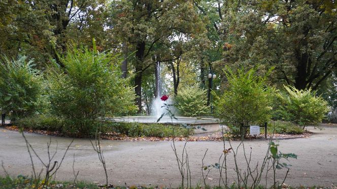 Ogród Saski w Lublinie w jesiennej odsłonie