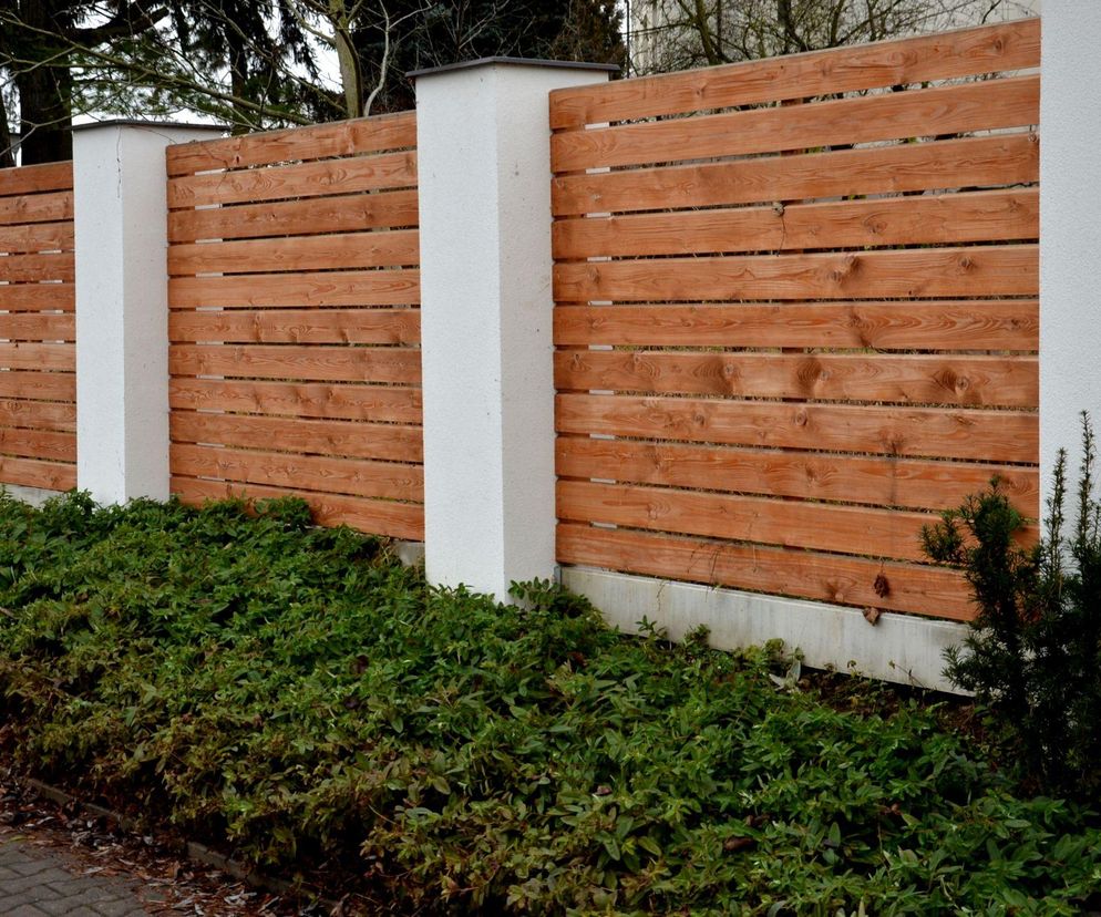 Jakie rośliny posadzić przy ogrodzeniu od strony ulicy?
