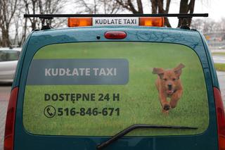 Kudłate Taxi. Jedyna taka taksówka w Warszawie
