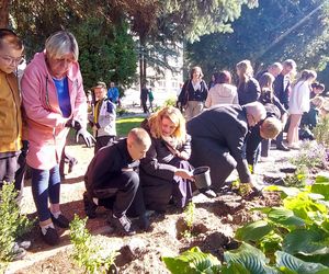 Ogród sensoryczno- naukowy przy SP nr 10 w Zamościu