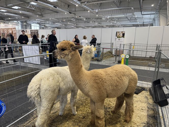 ZooPark w Lublinie. Dzień drugi