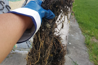 To Polacy wrzucają do… kanalizacji! Kara to 10 tysięcy złotych 