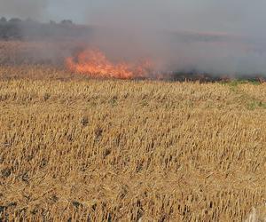 Dwa pożary zboża oraz rżyska w powiecie braniewskim