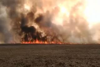 Biebrzański Park Narodowy. Ogromny pożar największego parku narodowego w Polsce! [ZDJĘCIA, WIDEO]