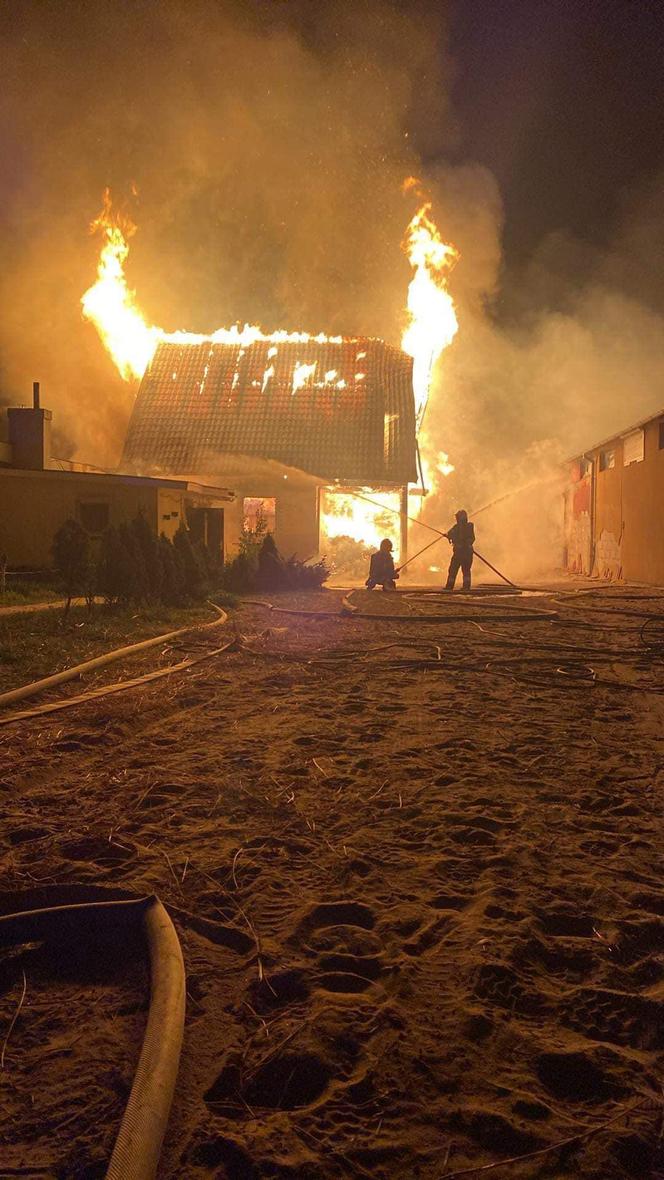 Pożar stadniny pod Bydgoszczą! Na miejscu blisko 80 strażaków [ZDJĘCIA]