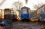 Zobacz kolekcję starych tramwajów w prywatnym ogrodzie - zdjęcia. Wagony stoją na działce w Warszawie