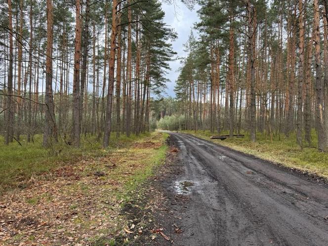 Wybuch trotylu w Solarni. Zginęły dwie osoby ZDJĘCIA