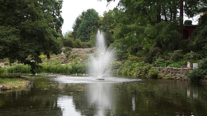 To jeden z najpiękniejszych ogrodów botanicznych w Polsce. Znajduje się na Dolnym Śląsku 