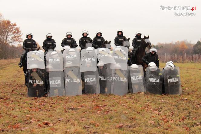 Konie służbowe śląskiej policji przeszły szkolenie. Musiały wytrzymać odgłosy wystrzałów czy ujadanie psów