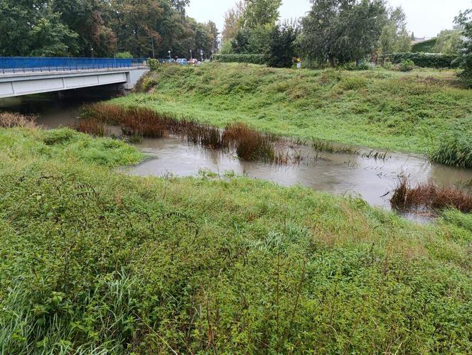 Sytuacja pogodowa we Wrocławiu i okolicach