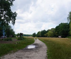 Las Kabacki w Warszawie