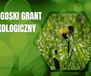 Bydgoski Grant Ekologiczny